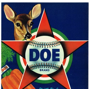 Original vintage carrot crate label 1950s Doe Deer Joe Dimaggio D. Maggio Baseball Play on Words 7x9&quot;
