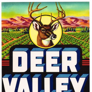 Original vintage vegetable crate label 1950s Deer Valley Arrowhead Ranches Glendale Arizona Buck Stag