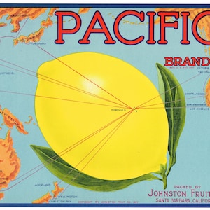Original Lemon Crate Etikett Santa Barbara County California 1930s Vintage Pacific Map Grafik