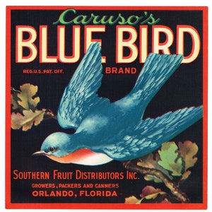 Original vintage Florida citrus crate label c1930 Carusos Blue Bird Winter Garden 7x7"