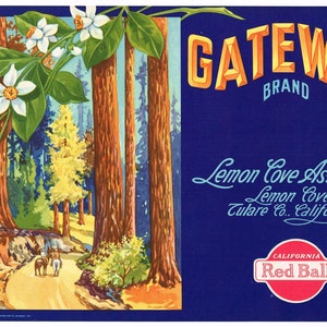 Original Zitronen Kiste Etikett Tulare County California 1930er Jahre Vintage Accessoire-Pferd Sequoias Redwoods Lemon Cove