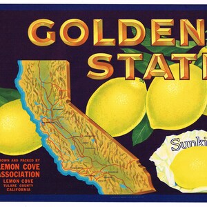 Étiquette originale de caisse de citron vintage des années 1940 Golden State Tulare County California State Map