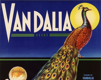 May include: A vintage label for Vandalia Brand Sunkist oranges featuring a colorful peacock with a spread tail and the text "VANDALIA BRAND" in a bold, art deco font.