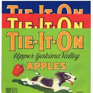Original 4 different vintage apple & fruit crate labesl 1940s Tie-It-On Terrier Dog Yakima Valley Tieton 3 apple 1 small fruit
