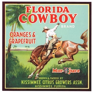 Original vintage Florida citrus crate label c1930 Florida Cowboy White Shirt Kissimmee Bucking Bronco Rodeo