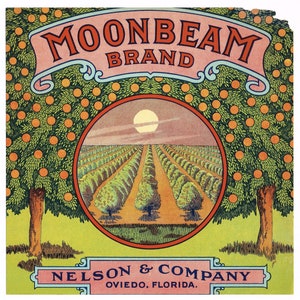 Original vintage Florida citrus crate label c1930s Moonbeam Nelson Oviedo Seminole County 7.75x7.75" Corner Damage