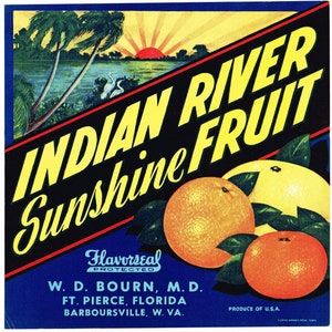 Original vintage Florida citrus crate label c1930s Indian River Sunshine Fruits Barboursville 8x8&quot; scarce