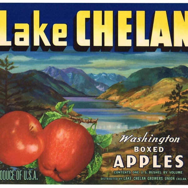 Original vintage apple crate label 1940s Washington State Lake Chelan Mountain Lake Scene Landscape