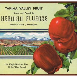 Original vintage apple crate label 1930s Herman Fluegge Yakima Valley Fruit Washington State Route 4 Landscape