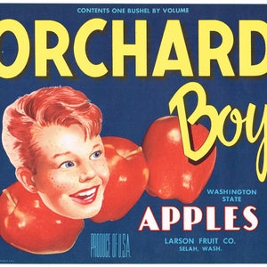 Original vintage apple crate label 1950s Orchard Boy Red Head Washington State Selah