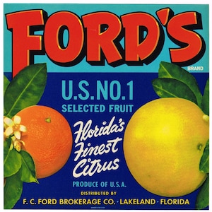 Original vintage Florida citrus crate label c1930s Fords Lakeland Finest Citrus