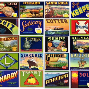 20 different original vintage Lemon crate labels 1930s-1940s California Lot Ventura County Fillmore Oxnard Santa Paula