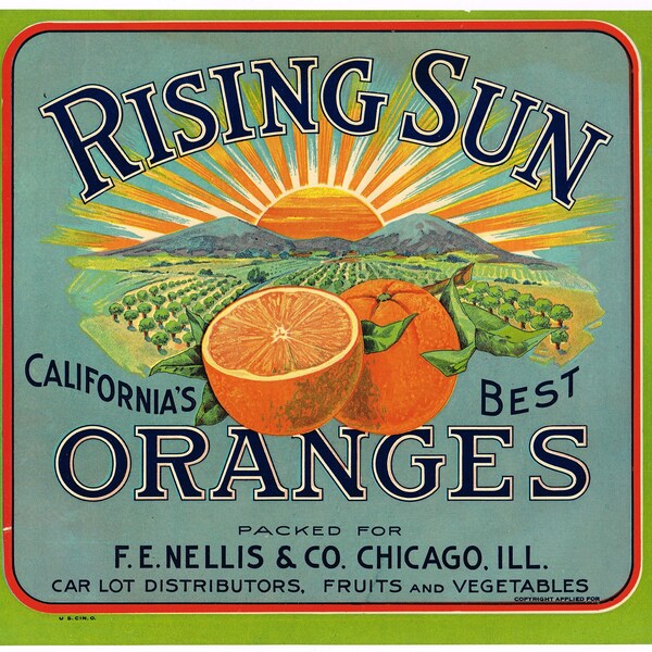 Original vintage citrus crate label 1930s California's Best Chicago Illinois Distributor Scarce Nellis Trimmed