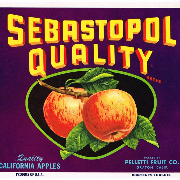 Original vintage apple crate label 1950s Quality Sebastopol California Pelletti Fruit Company 10.5x9.25"