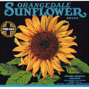 Original vintage orange citrus crate label 1935 Orangedale Sunflower Redlands California Trimmed Top 9.75x11&quot;