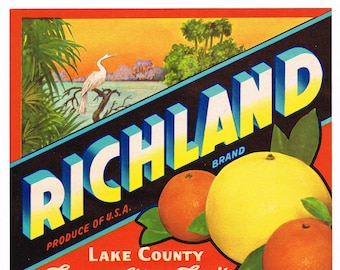 May include: A vintage fruit crate label with the word "RICHLAND" in large, 3D letters. The label features illustrations of oranges and a grapefruit, with text indicating "Famous Citrus Fruit" from Lake County, Florida.