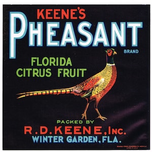 Original vintage Florida citrus crate label c1930s Keene&#39;s Pheasant Winter Garden