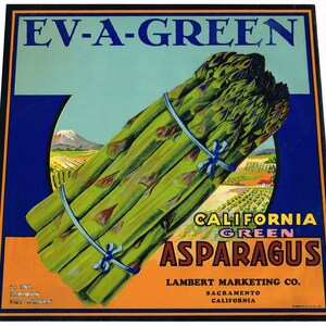 Original vintage asparagus crate label c1930s Rare Ev-A-Green Lambert Sacramento California