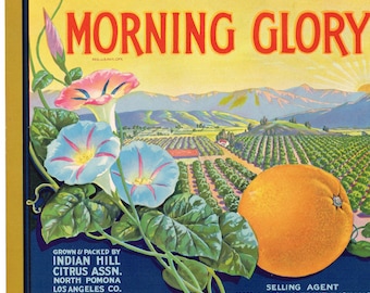 Origineel vintage etiket van een citrus-sinaasappelkist uit circa 1940. Klassieke Morning Glory, North Pomona, Los Angeles, Californië. Rijzende zon.