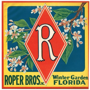 Original vintage Florida citrus crate label c1930s Monogram R Roper Brothers Winter Garden Scarce