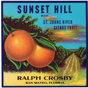 Original vintage Florida citrus crate label c1930s Rare Sunset Hill San Mateo St. Johns River 9x9