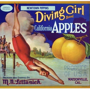 Original vintage apple crate label 1920s Diving Girl Watsonville California swimming hole Fancy Script Bottom Newton Pippens