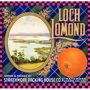 Etichetta originale della cassa di agrumi vintage 1930 Loch Lomond Scozia Strathmore California Contea di Tulare