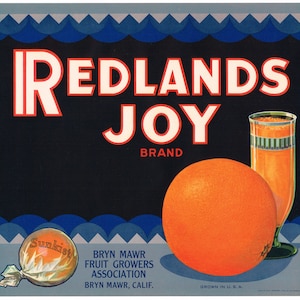 Original vintage orange citrus crate label 1932 Redlands Art Deco Joy Bryn Mawr San Bernardino County scarce