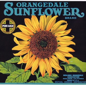 Original vintage orange citrus crate label 1932 Orangedale Sunflower Redlands California Trimmed 9.75x10.66&quot; Version #2