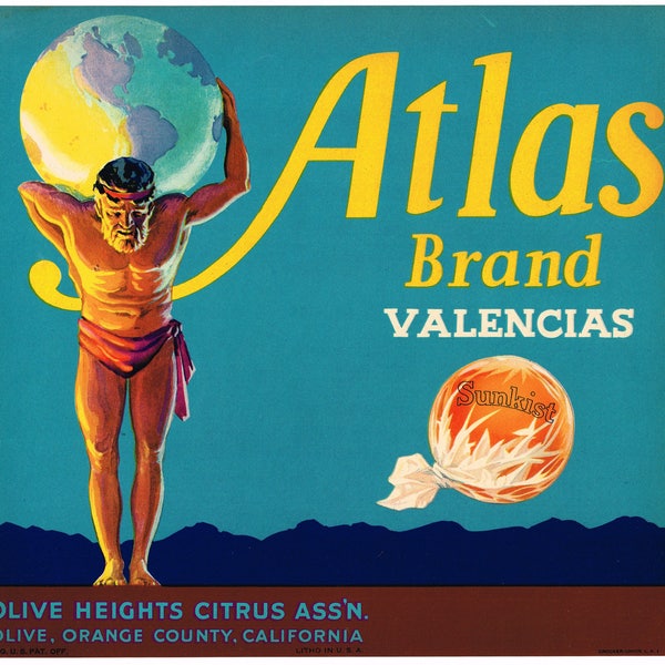 Original vintage citrus crate label 1930s Atlas Olive Orange County California Greek God Globe Body Builder Scarce