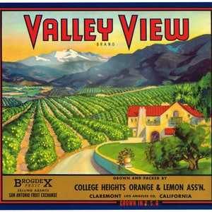 Etiqueta original de caja de cítricos vintage, década de 1940, vista al valle, Claremont, California, escena de huerto, bungalow