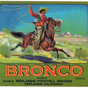 Original vintage Bronco citrus crate label 1930s Redlands California Cowboy & Horse Scarcer Navels
