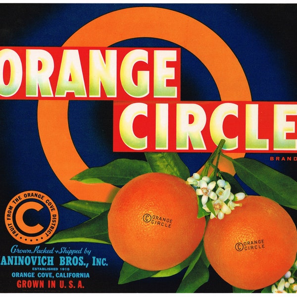 Étiquette originale de caisse d'agrumes orange vintage des années 1940 Orange Circle Graphic Design Orange Cove Californie