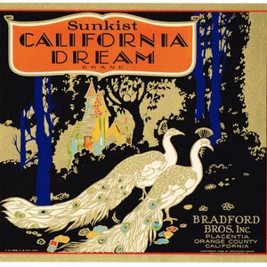 Original vintage citrus crate label 1930s California Dream Bronzed Peacocks Placentia Orange County Classic