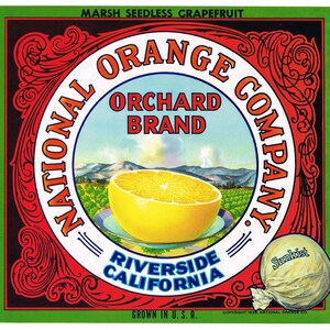 Original vintage citrus crate label 1930s Scarce Riverside National Orange Company Grapefruit Orchard Scene