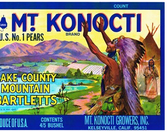 Original vintage pear crate label 1970s Mt. Konocti Kelseyville American Indian California Lake County