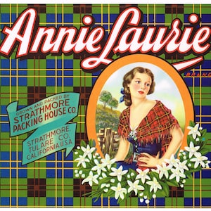 Original vintage citrus crate label 1930s Annie Laurie Tulare County California Tartan Plaid Scotland