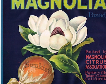 May include: Vintage Magnolia Brand citrus fruit crate label. Features a large white magnolia flower with green leaves, and an orange fruit labeled "Sunkist". Text includes "Magnolia Citrus Association" and "Porterville, California".