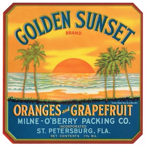 Original vintage Florida citrus crate label c1930s Golden Sunset Setting Sun St Petersburg