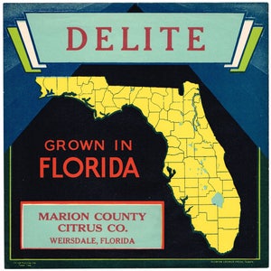 Original vintage Florida citrus crate label c1930s Delite Floride carte Weirsdale comté de Marion 9 x 9 po.