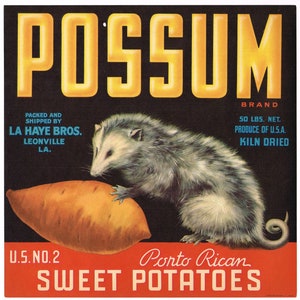 Original vintage yam crate label 1950s Possum Opossum Leonville Louisiana Sweet Potatoes Small Hole