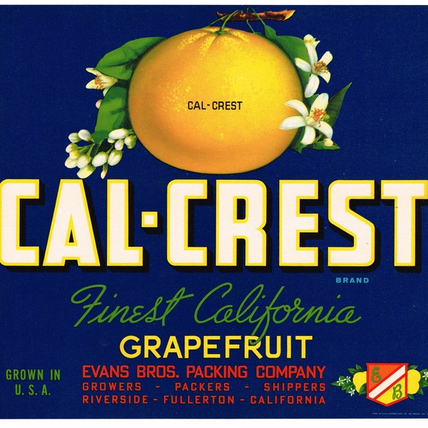 Original vintage citrus crate label 1940s Cal-Crest Orange County Fullerton & Riverside California scarce Grapefruit