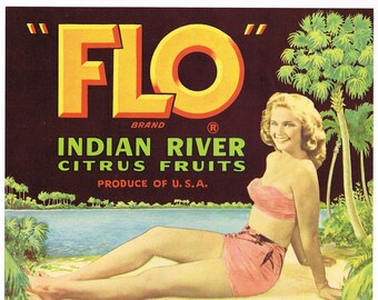Oryginalna etykieta na skrzynkę z cytrusami z Florydy z 1940 r. Flo Swimsuit Oak Hill Pin Up