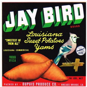 Original vintage yam crate label C1960 Breaux Bridge Louisiana Jay Bird Sweet Potatoes