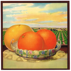 Original vintage crate label 1930s Stock design Citrus Commercial Art Grapefruit Orange Florida Rare Landscape 3