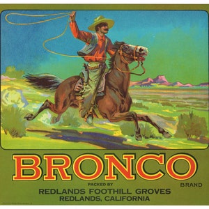 Original vintage Bronco citrus crate label 1930s Redlands California Cowboy & Horse