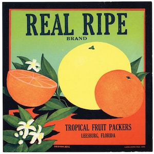 Original vintage Florida citrus crate label c1930s Real Ripe Leesburg 9x9&quot; Scarce Letter Press Tropical Fruit Packers