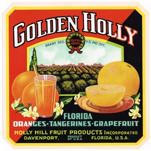 Original vintage Florida citrus crate label c1930 Golden Holly old version Davenport Landscape  9x9&quot; very rare