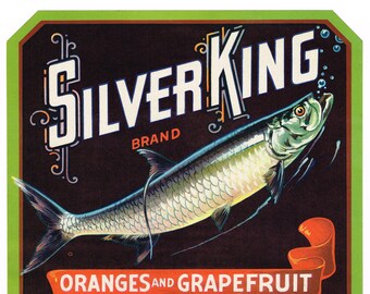 Oryginalna etykieta na skrzynkę z cytrusami z Florydy z 1930 r. Silver King Game Fishing Fish St. Petersburg