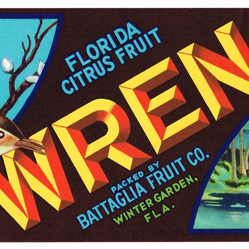 Wren Brand Battaglia Fruit Co Winter Garden Florida Label 